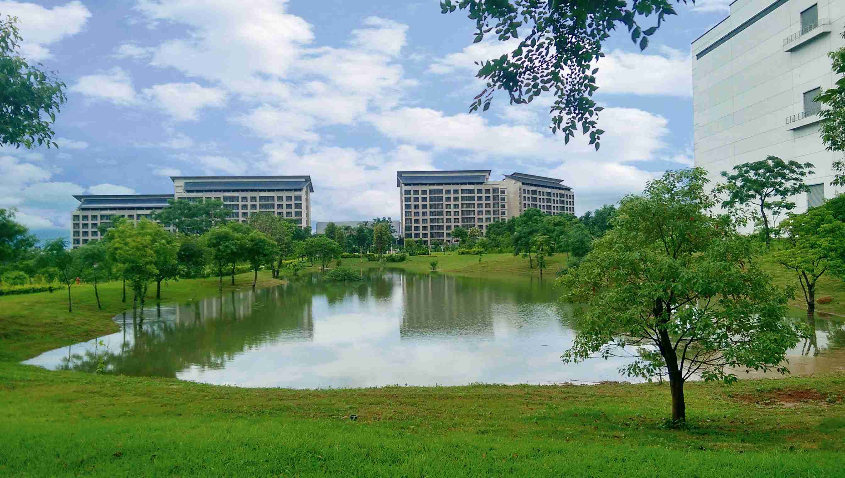 龙门国际响应国际倡议生物多样性趋势，，，首次发布TNFD自然相关财务揭露报告书，，擘划及开展龙门国际生物多样性政策之承诺，，逐步迈向与自然和谐共生